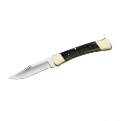 Buck FOLDING HUNTER 110...